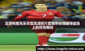 规平台如何