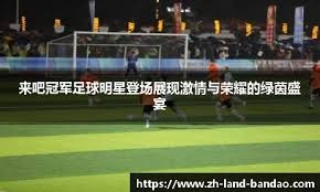 胜率