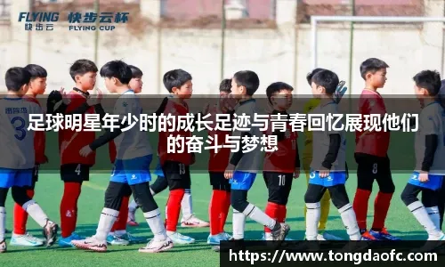 摩纳哥的进